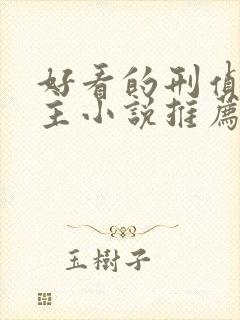 好看的刑侦双男主小说推荐