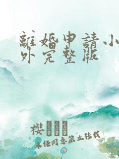 离婚申请小说番外完整版