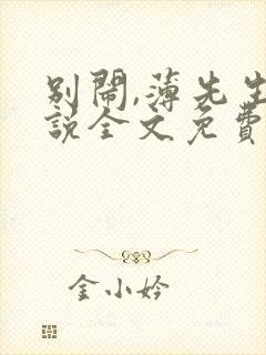 别闹,薄先生小说全文免费阅读txt