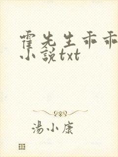 霍先生乖乖宠我小说txt