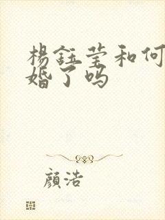 杨钰莹和何炅结婚了吗