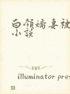 白领娇妻被调教小说