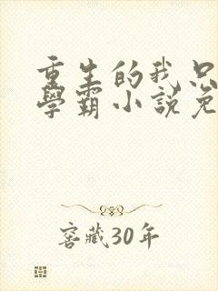 重生的我只想当学霸小说免费阅读