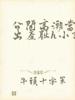 公开高潮当众露出羞耻h小说