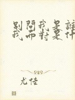 别问我是谁请与我面对是什么歌