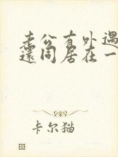 老公有外遇了,还同居在一起,我该怎么办