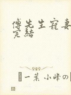 傅先生宠妻无度完结