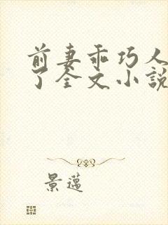 前妻乖巧人设崩了全文小说