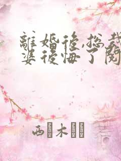 离婚后,总裁老婆后悔了阅读全文