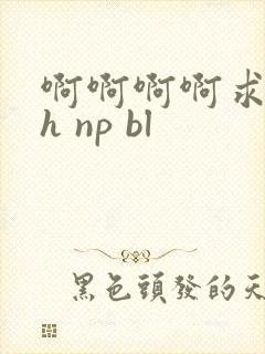 啊啊啊啊求你了h np bl