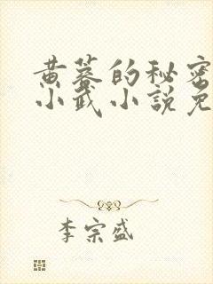 黄蓉的秘密大武小武小说免费阅读