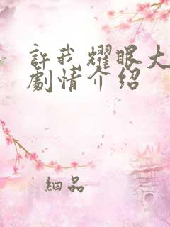 许我耀眼大结局剧情介绍