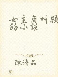 女主角叫顾知意的小说