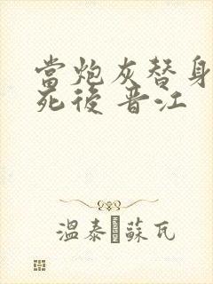 当炮灰替身的我死后 晋江