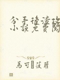 分手后渣攻疯了小说免费阅读