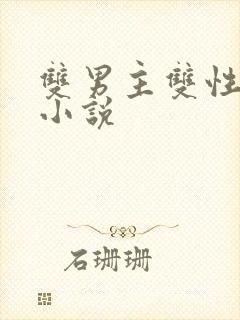 双男主双性调教小说