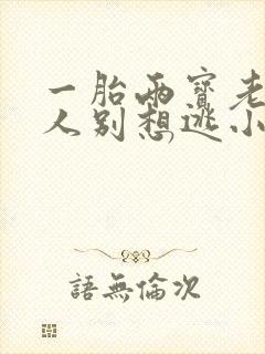 一胎两宝老婆大人别想逃小说全文免费阅读