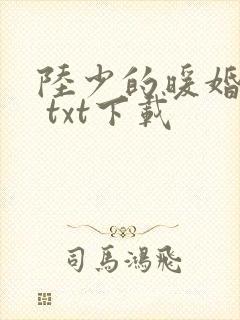 陆少的暖婚新妻 txt下载