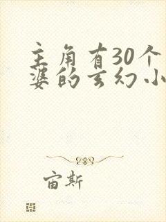 主角有30个老婆的玄幻小说