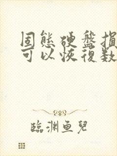 固态硬盘损坏后可以恢复数据吗