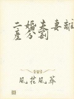 二婚夫妻离婚财产分割