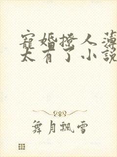 宠婚撩人薄总太太有了小说