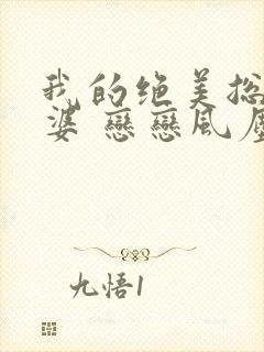 我的绝美总裁老婆 恋恋风尘