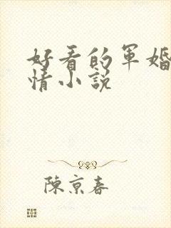 好看的军婚类言情小说