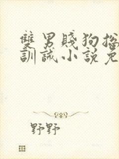 双男贱狗总裁的训诫小说免费阅读