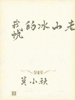 我的冰山老婆叶帆