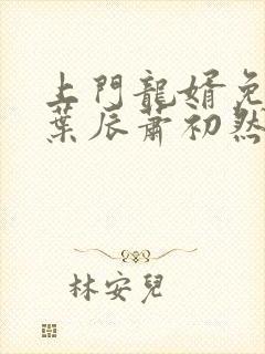 上门龙婿免全文叶辰萧初然