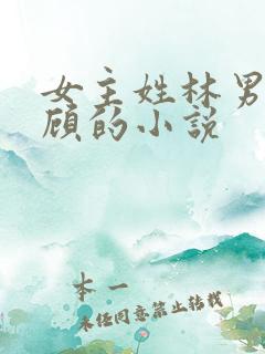 女主姓林男主姓顾的小说