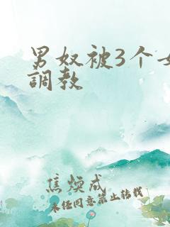 男奴被3个女王调教