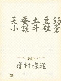 天蚕土豆的全部小说斗破苍穹