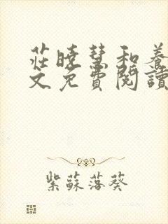 庄晓慧和养父全文免费阅读最新章节