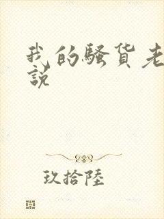 我的骚货老婆小说