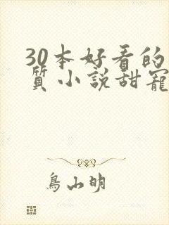 30本好看的肉质小说甜宠文