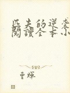 匹夫的逆袭免费阅读全本小说