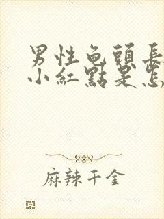 男性龟头长很多小红点是怎么回事