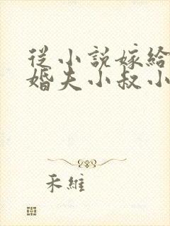 从小说嫁给前未婚夫小叔小说