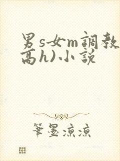 男s女m调教(高h)小说