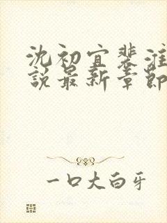 沈初宜裴淮聿小说最新章节免费阅读