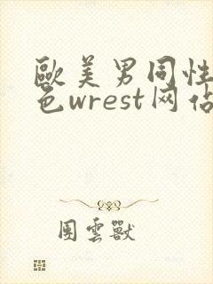 欧美男同性恋黄色wrest网站
