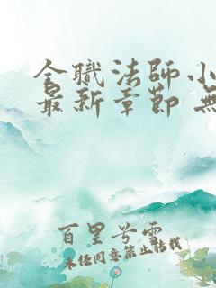 全职法师小说 最新章节 无弹窗