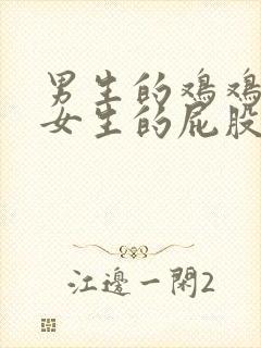 男生的鸡鸡插到女生的屁股里面