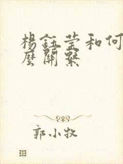 杨钰莹和何炅什么关系