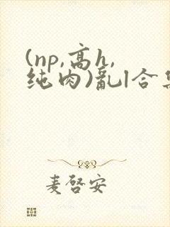 (np,高h,纯肉)乱l合集