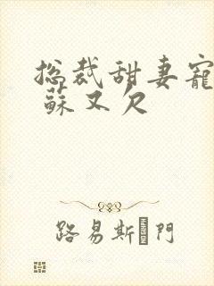 总裁甜妻宠上瘾 苏又欠