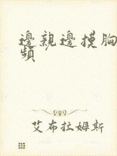 边亲边摸胸的视频