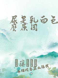 尿是乳白色是什么原因